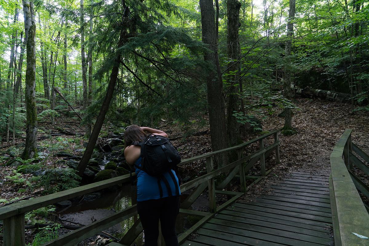 Taboo Muskoka Ξενοδοχείο Gravenhurst Εξωτερικό φωτογραφία