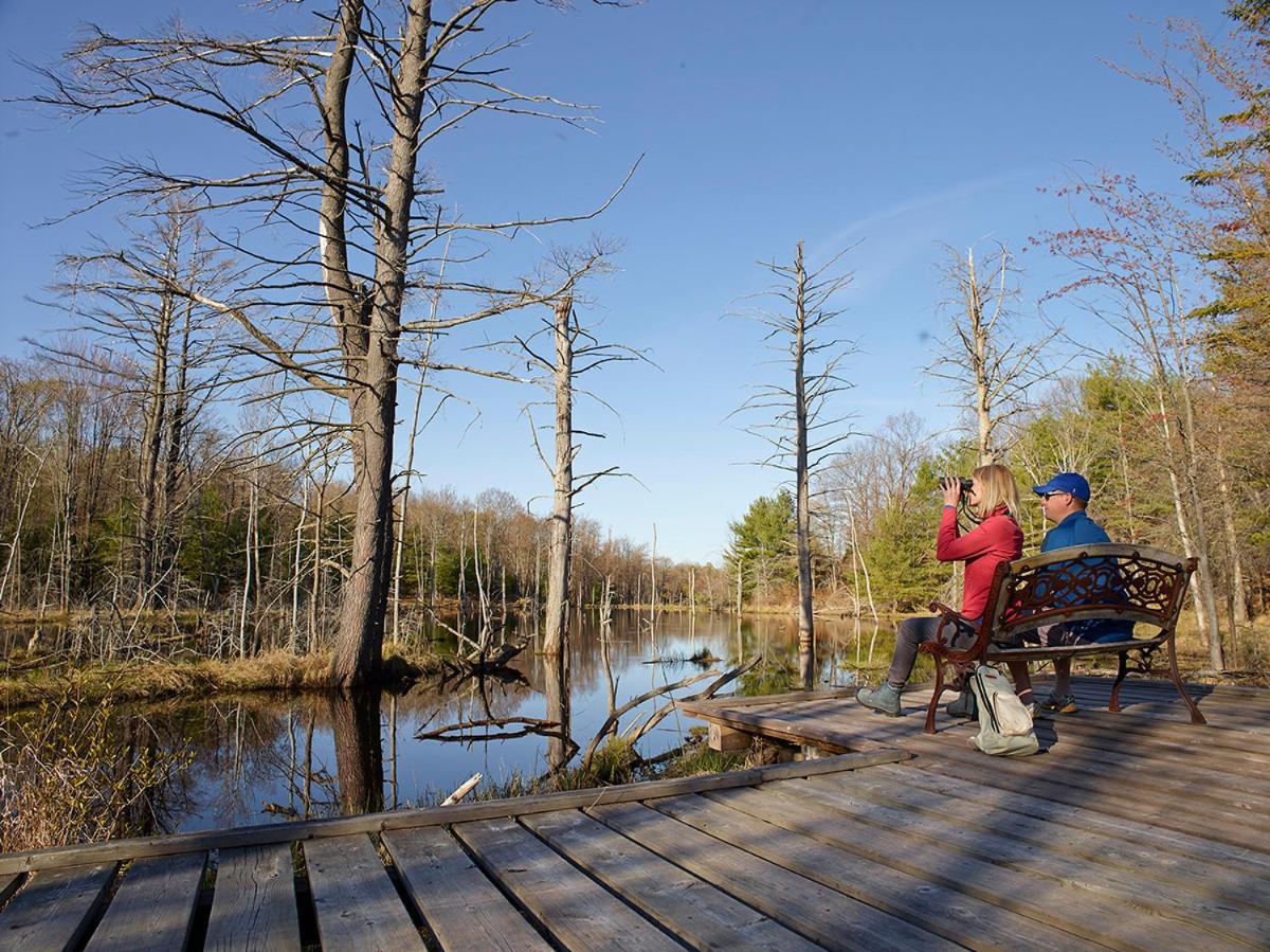 Taboo Muskoka Ξενοδοχείο Gravenhurst Εξωτερικό φωτογραφία